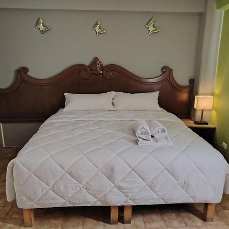 Cabo Tortuga Hotel Boutique Кабо Сан Лукас Екстериор снимка